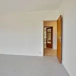 Rent 2 bedroom apartment in Mortsel