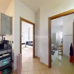 Rent 3 bedroom apartment of 83 m² in Lecce