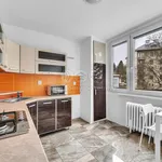 Rent 3 bedroom apartment of 65 m² in Náchod