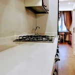 Rent 1 bedroom apartment of 35 m² in Milano