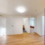 Rent 3 bedroom apartment in Prague