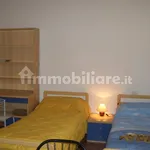 Rent 1 bedroom apartment of 28 m² in Siena