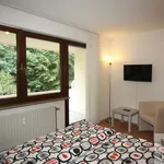 Rent 1 bedroom apartment of 31 m² in Erlangen