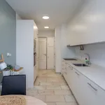 Rent 3 bedroom apartment of 110 m² in Lisbon