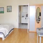 Rent 1 bedroom apartment of 31 m² in Düsseldorf