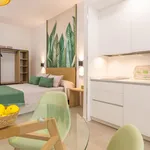 Rent 1 bedroom apartment of 50 m² in Cordoba