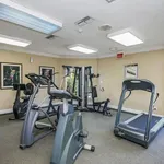 apartment for rent in Sarasota