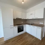 Rent 2 bedroom apartment of 42 m² in Wiener Neustadt