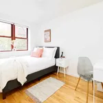 Rent 1 bedroom apartment in New York