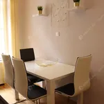 Rent 1 bedroom apartment of 45 m² in budapest