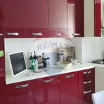 Rent 3 bedroom apartment of 95 m² in Rome