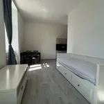 Rent 2 bedroom apartment of 38 m² in Brno