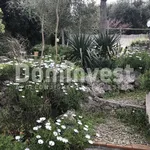 Rent 4 bedroom house of 120 m² in Orbetello