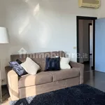 Rent 3 bedroom apartment of 80 m² in Modena