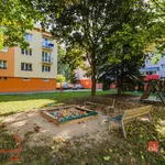 Rent 2 bedroom apartment in Rychnov nad Kněžnou