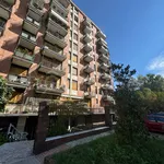 Rent 3 bedroom apartment of 80 m² in Milano