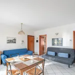 Rent 1 bedroom apartment in Bologna