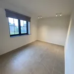 Huur 3 slaapkamer huis van 459 m² in BREE