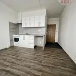 Rent 1 bedroom apartment in Chomutov