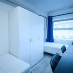 Rent 1 bedroom apartment in Brno