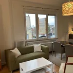 Rent 1 bedroom apartment in brussels