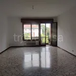 Rent 5 bedroom apartment of 119 m² in Treviso