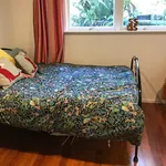 Rent 3 bedroom house in Tauranga