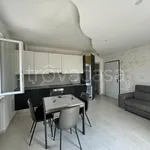 Rent 2 bedroom apartment of 55 m² in Cogliate