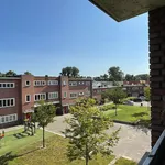 Huur 3 slaapkamer appartement van 82 m² in 's-Hertogenbosch