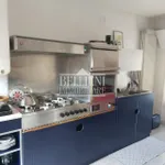 Rent 1 bedroom apartment of 70 m² in Vicenza