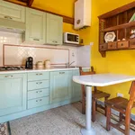 Rent 1 bedroom apartment in Florence