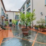 Rent 1 bedroom apartment in Florence