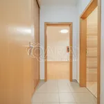 Rent 1 bedroom apartment in Capital City of Prague