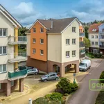 Rent 1 bedroom apartment of 45 m² in Strančice