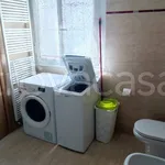 Rent 2 bedroom apartment of 45 m² in Bologna