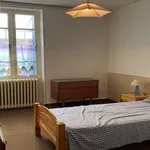  appartement avec 1 chambre(s) en location à Roumazières-Loubert