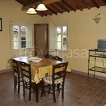 Rent 3 bedroom apartment of 90 m² in Capannori