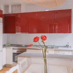 Rent 1 bedroom apartment in madrid