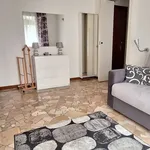 Rent 1 bedroom apartment of 40 m² in Milano