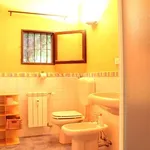 Rent 1 bedroom apartment of 55 m² in Segrate