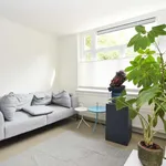 Rent 1 bedroom apartment in amsterdam