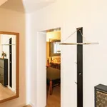 Rent 1 bedroom apartment in Bonn