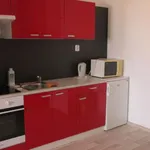 Rent 1 bedroom apartment of 48 m² in Brno