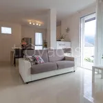 Rent 2 bedroom apartment of 56 m² in Mandello del Lario