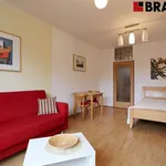 Rent 1 bedroom apartment of 38 m² in Brno