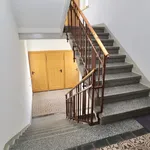 Rent 3 bedroom apartment of 60 m² in Chemnitz