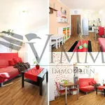 Rent 2 bedroom apartment of 48 m² in České Budějovice