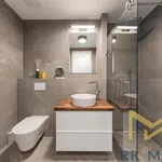 Rent 2 bedroom apartment of 66 m² in Praha