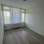 Huur 4 slaapkamer appartement van 101 m² in Leiden