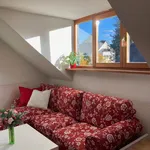 Rent 1 bedroom apartment of 27 m² in München